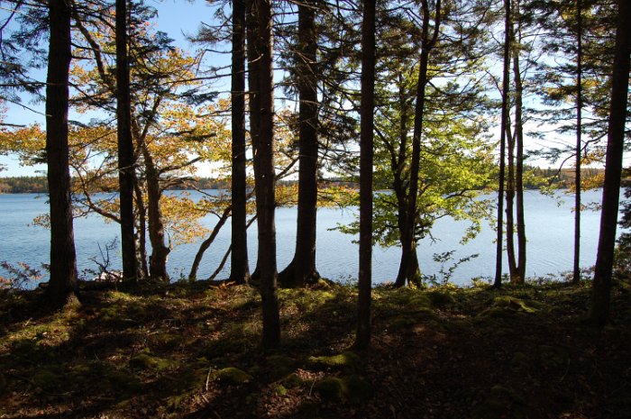 DSC_0169 - Four Island Lake - Immobilie in Kanada